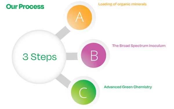 The 3 step process of the biological method The 3 step process of the biological method