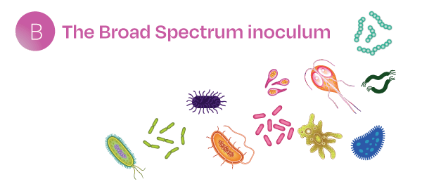 The broad spectrum seed inoculum The broad spectrum seed inoculum
