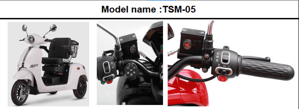 FREELAND FLTEV TSM-05 E-Tricycle 800W / 1600W 60V 32 Ah battery 10" Wheels Trade Sutinen EU FREELAND FLTEV TSM-05 E-Tricycle 800W / 1600W 60V 32 Ah battery 10" Wheels Trade Sutinen EU