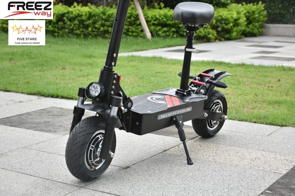 FREEZWAY E-Scooter R4 PRO 3200W motor 52V 19 Ah battery 10" inch tire