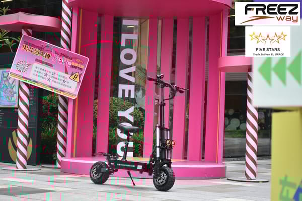 FREEZWAY E-Scooter R1 6000W motor 60V 38 Ah battery 11" inch tire
