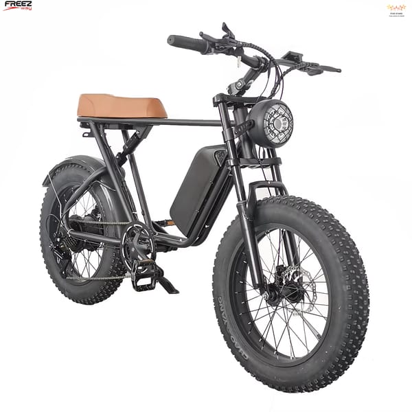 Freezway C91 E-Bike 1000W 48v 17.5ah 20" Off Road Tire