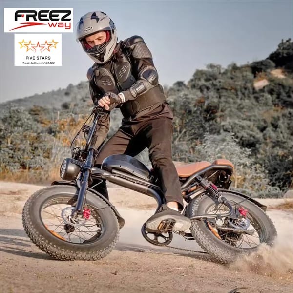 Freezway C93 E-Bike 1000W 48v 20Ah 20" Off Road Tire