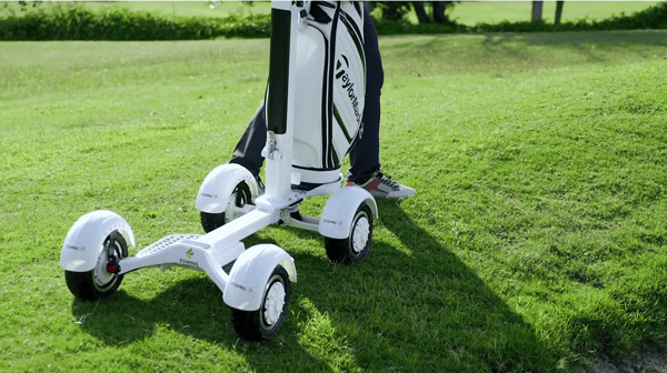 Eswing ES-M12-1 Golf Ball Electric Balance Cart 48V 14Ah LG battery