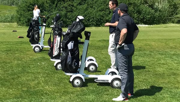 Eswing ES-M12-1 Golf Ball Electric Balance Cart 48V 14Ah LG battery