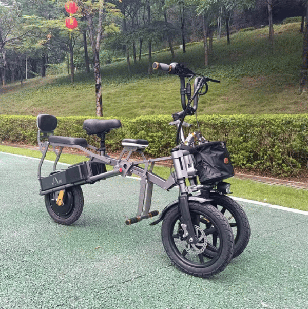 ESWING M18 All-Terrain Stability Suspension Electric Tricycle 500W, 48V 15.6Ah ESWING M18 All-Terrain Stability Suspension Electric Tricycle 500W, 48V 15.6Ah