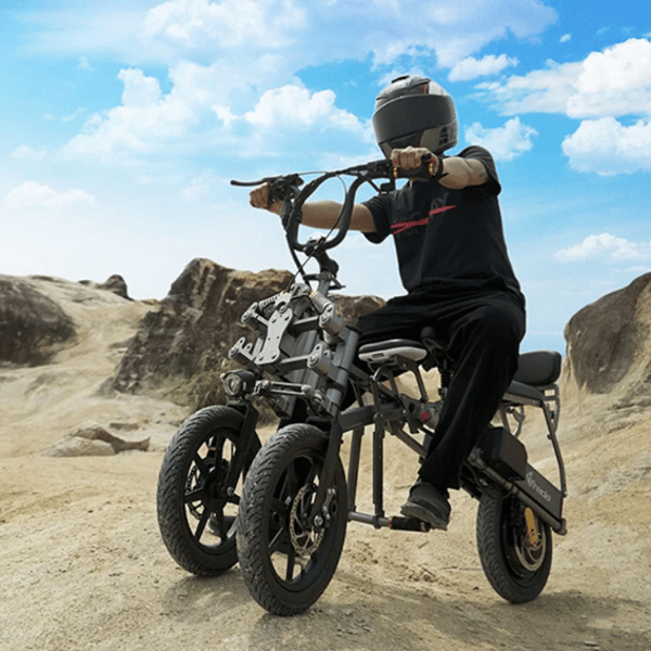 ESWING M18 All-Terrain Stability Suspension Electric Tricycle 500W, 48V 15.6Ah