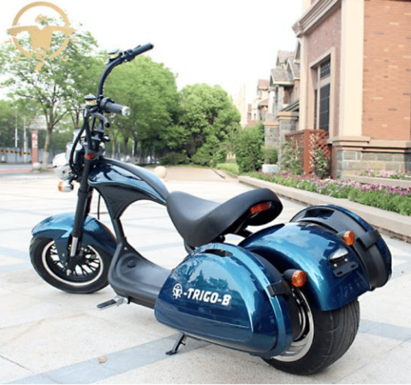 M1 Citycoco Model EEC & Coc 60v 1500w / 2000w with 60v 20ah Li-on battery M1 Citycoco Model EEC & Coc 60v 1500w / 2000w with 60v 20ah Li-on battery