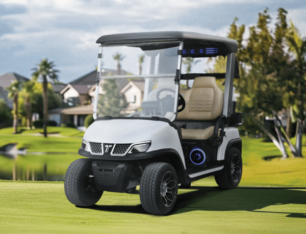Tara T3 Golf Cart 6.3KW AC Motor with EM brake 48V160AH Lithium Battery Tara T3 Golf Cart 6.3KW AC Motor with EM brake 48V160AH Lithium Battery