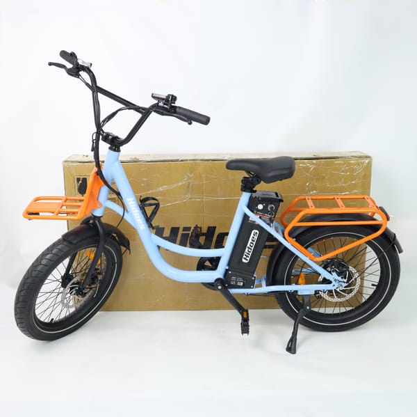 iENYRID Hidoes C6 Electric Bike 350W (250W in the manual) Tyre size: 20'' * 3.0'' off road tire Trade Sutinen EU