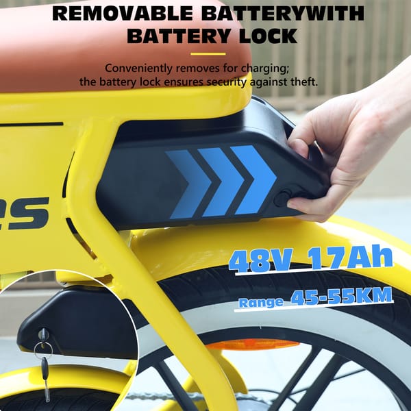 iENYRID Hidoes C8 Electric Bike 700W (250W) Battery: 48V/17Ah (Removable) Trade Sutinen EU