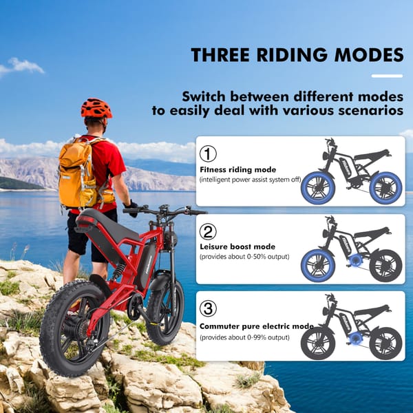 iENYRID HIDOES B6 Electric Bike 1200W 48V 15.6Ah Trade Sutinen EU