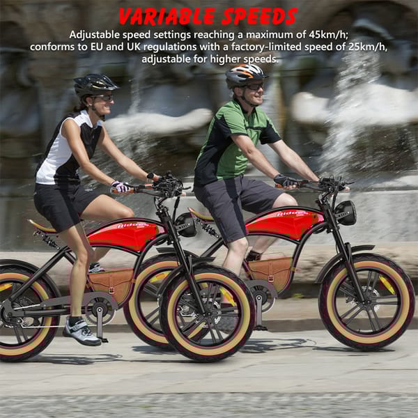 iENYRID HIDOES B10 Electric Bike 1000W  48V 13AH Trade Sutinen EU