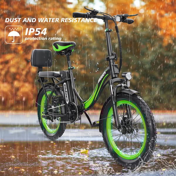 iENYRID HIDOES C1 750W 48V 13Ah (Removable) LiFePO4 battery Trade Sutinen EU