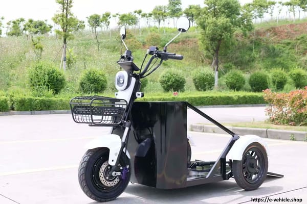 Assistive Open Body Electric Tricycle 48V 1000W motor Trade Sutinen EU Assistive Open Body Electric Tricycle 48V 1000W motor Trade Sutinen EU