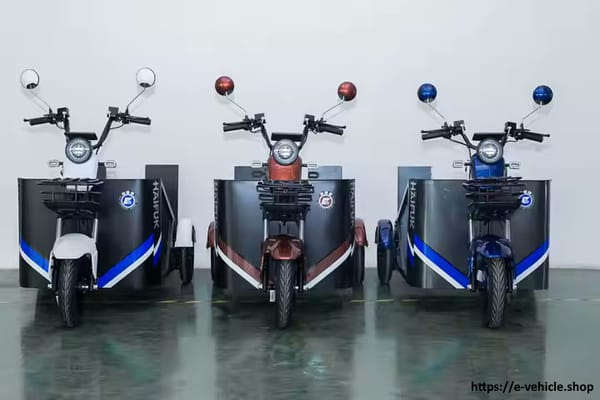 Assistive Open Body Electric Tricycle 48V 1000W motor Trade Sutinen EU Assistive Open Body Electric Tricycle 48V 1000W motor Trade Sutinen EU