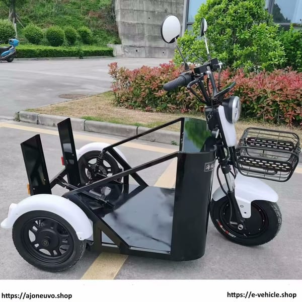 Disabled electric tricycle Disabled electric tricycle