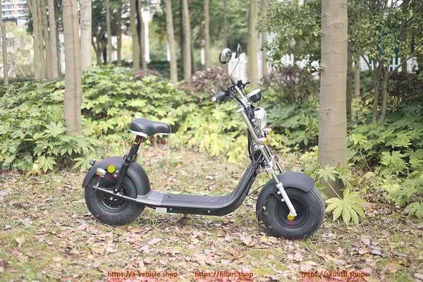 Dogebos SC10 E-Scooter 1500W 12Ah 2025 Modell Trade Sutinen EU