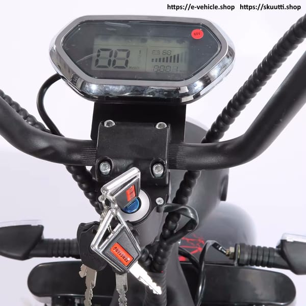 DOGEBOS SC09 (CP-3) E-Scooter 2000W 60V 40ah Tire:10"inch Trade Sutinen EU