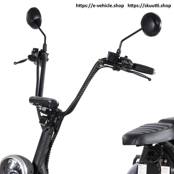 DOGEBOS SC09 (CP-3) E-Scooter 2000W 60V 40ah Tire:10"inch Trade Sutinen EU