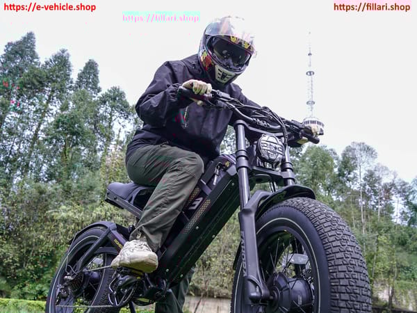 eAHORA E-Bike ROMEO II Dual Motor 1500W (3000W) 52V 60Ah Tire 20" X 5.0 Trade Sutinen EU