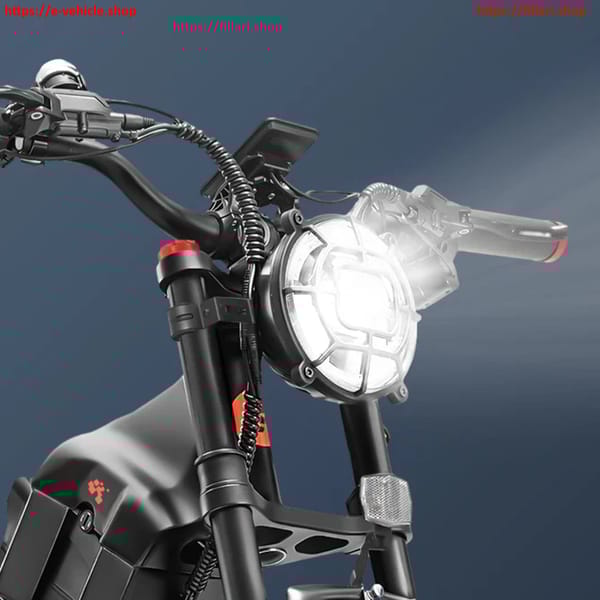 eAHORA E-Bike ROMEO Pro Motor 1200W Battery: 48V/60AH  Tire 26" X 4.0 Trade Sutinen EU