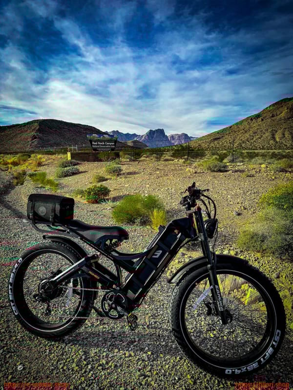 eAHORA E-Bike ROMEO Pro Motor 1200W Battery: 48V/60AH  Tire 26" X 4.0 Trade Sutinen EU