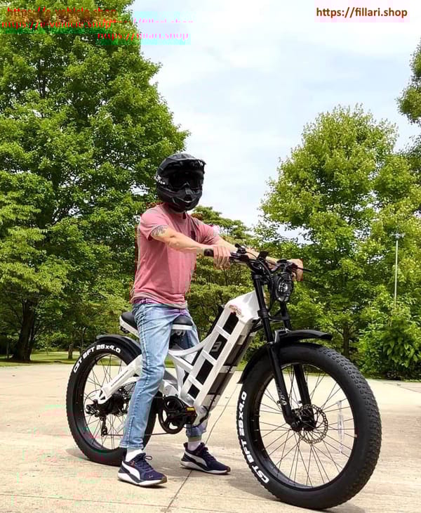 eAHORA E-Bike ROMEO Pro Motor 1200W Battery: 48V/60AH  Tire 26" X 4.0 Trade Sutinen EU