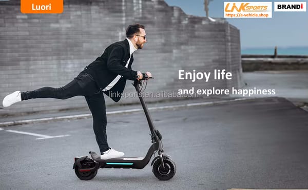 LinkSports LD-S9 Plus 800W (1400W Peak) 48V 15Ah Electric Scooter 10" off road Tires LinkSports LD-S9 Plus 800W (1400W Peak) 48V 15Ah Electric Scooter 10" off road Tires