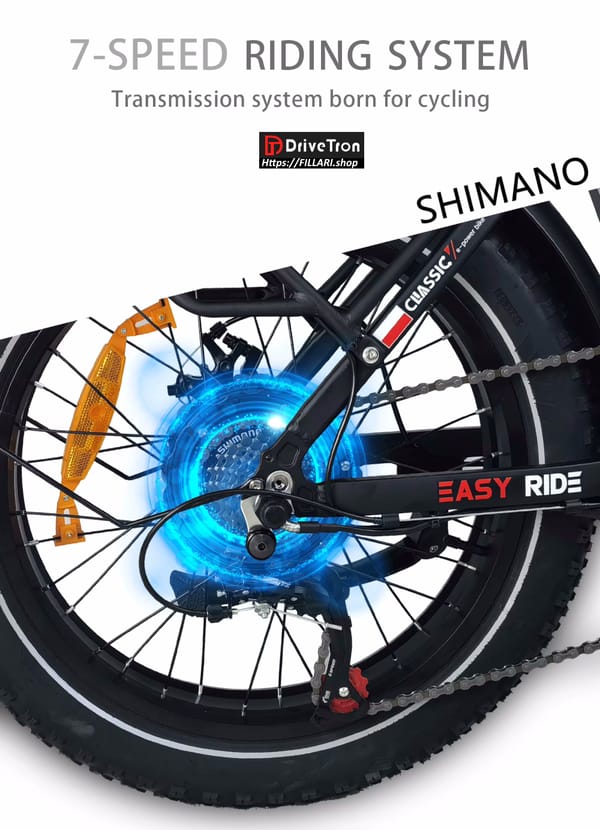 DriveTron EB10 Electric Bike 750W 13Ah 20"4.0 Fat tires Trade Sutinen EU