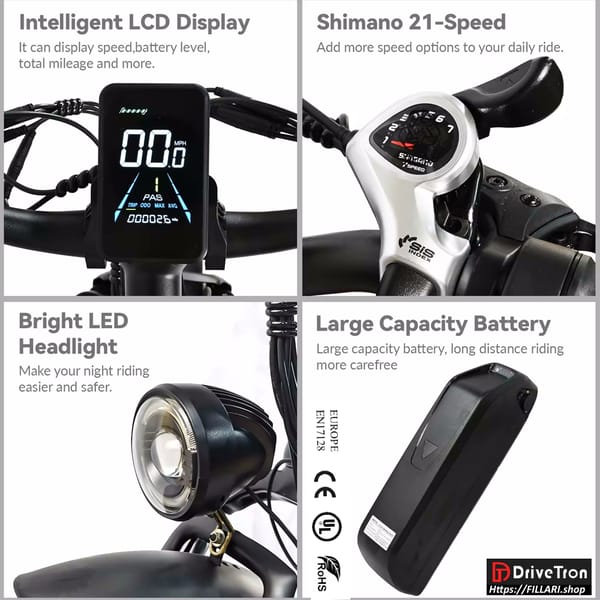 DriveTron DP-2602 Electric Bike Dual motor 2 X 1000W 48V 20Ah Lithium  26"4.0 Fat tires  Trade Sutinen EU