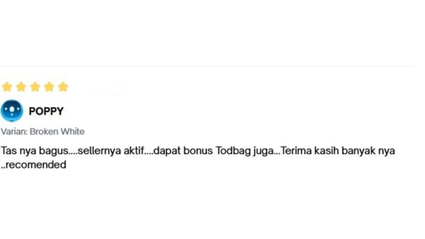 Testimonial Backpack CELINE 5