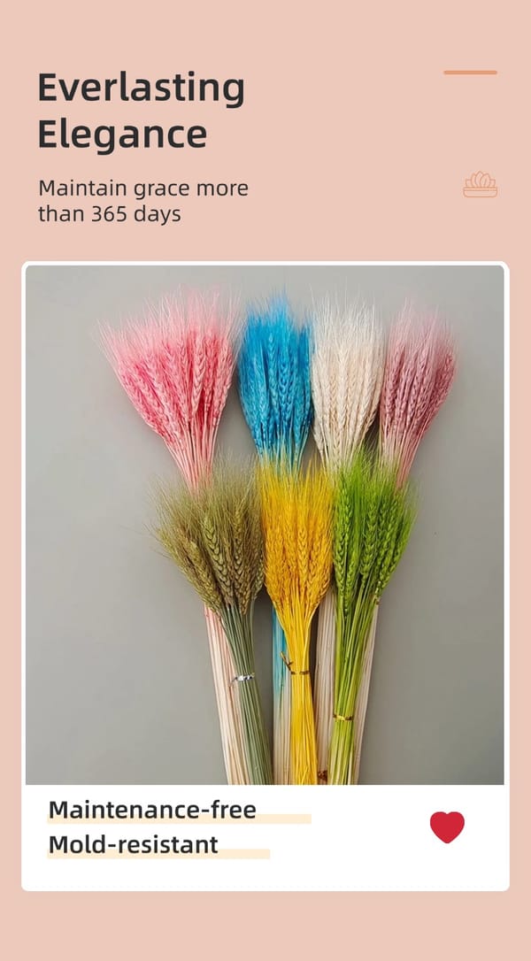 dried wheat