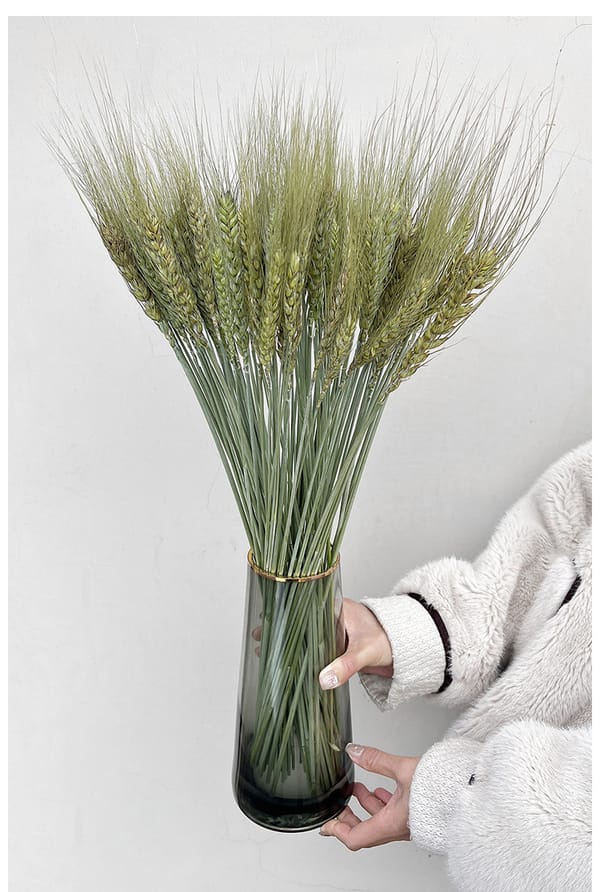 dired wheat