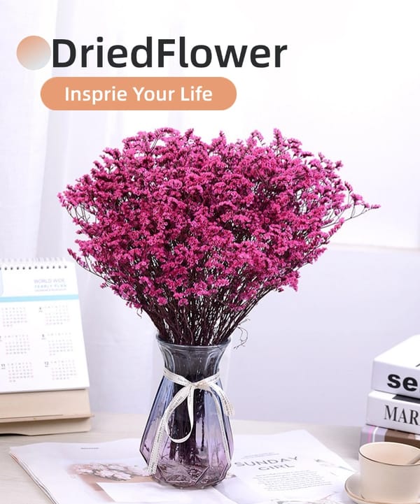 dried flower Crystal Grass