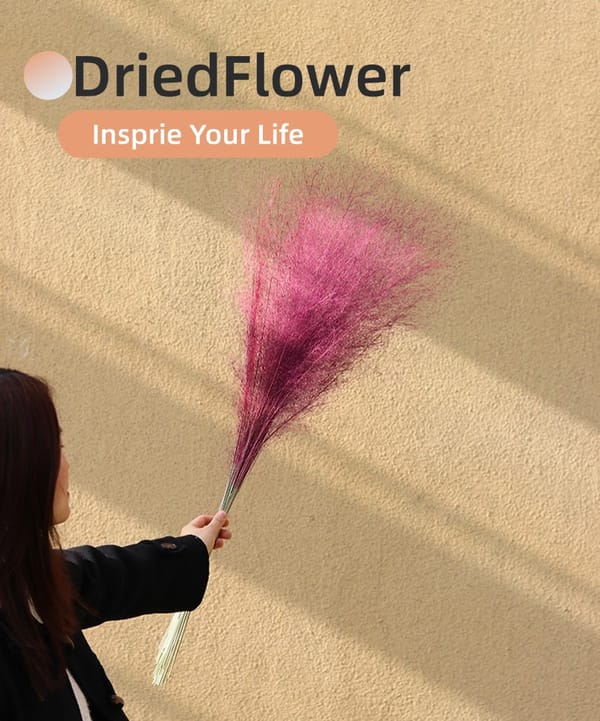 Muhly Grass Supplier