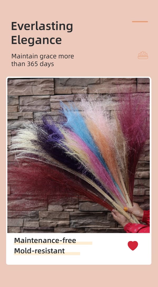Muhly Grass wholesale