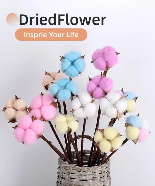 dried flower supplier