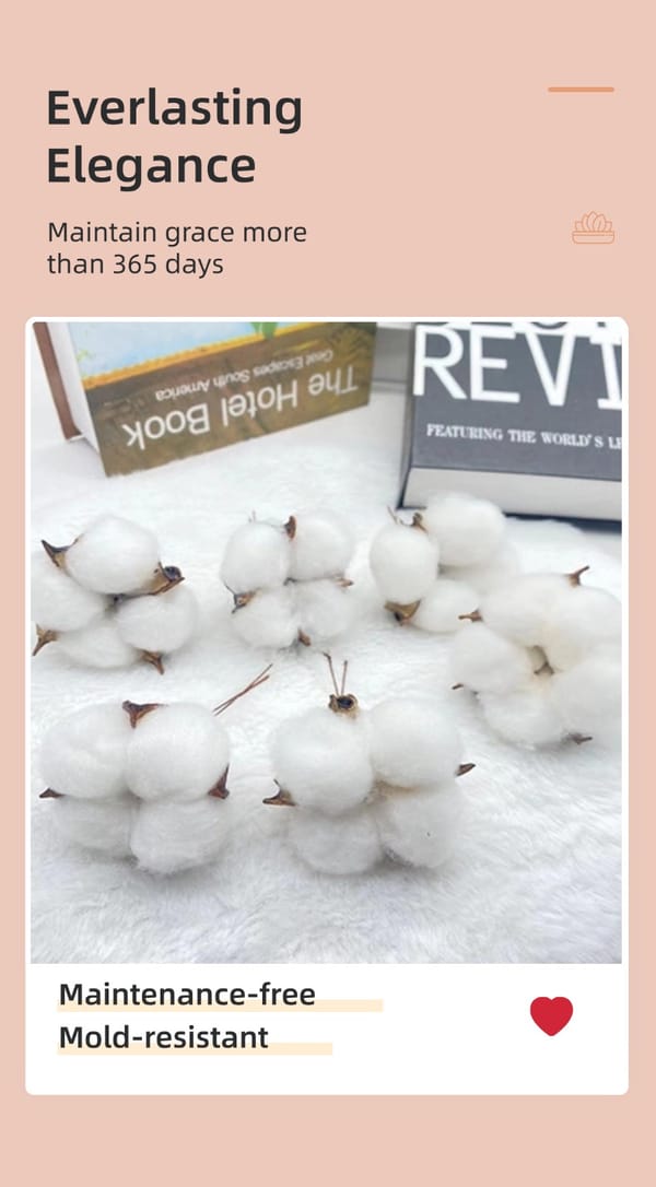Single Head Cotton distributor