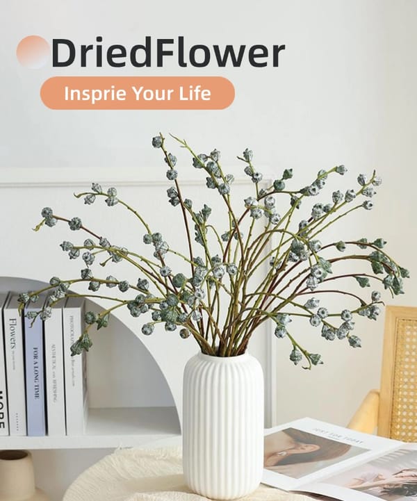 dried flower supplier