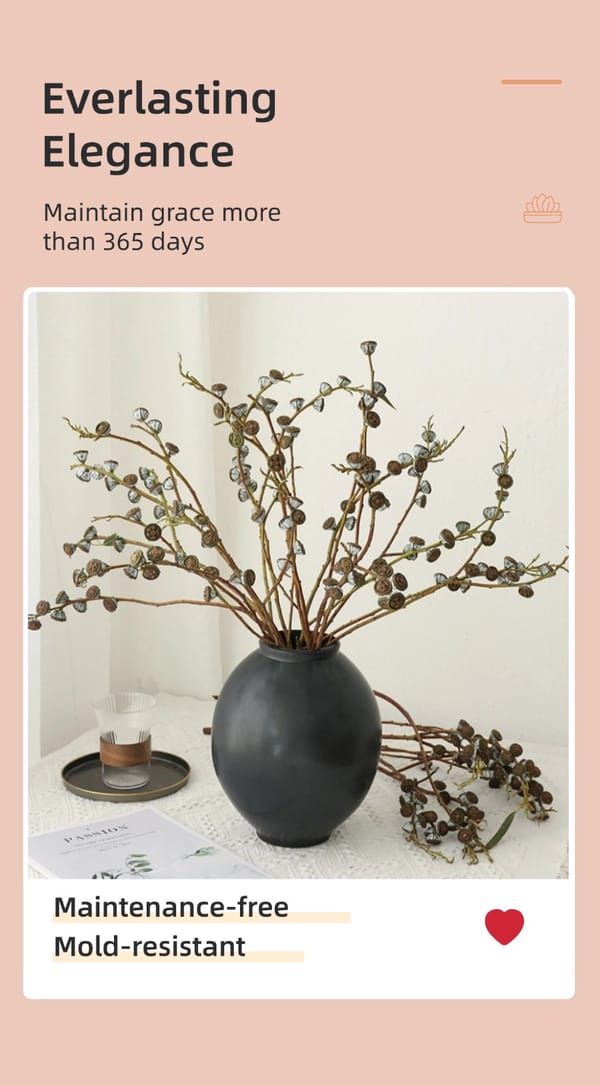 Eucalyptus Fruit supplier