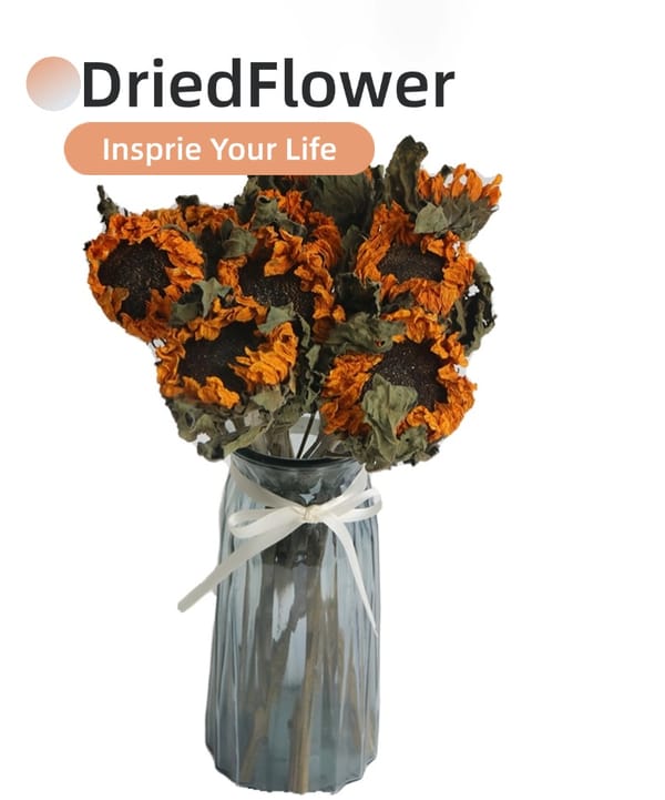 sunflower supplier