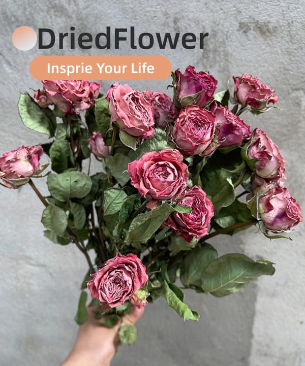 dired flower factory