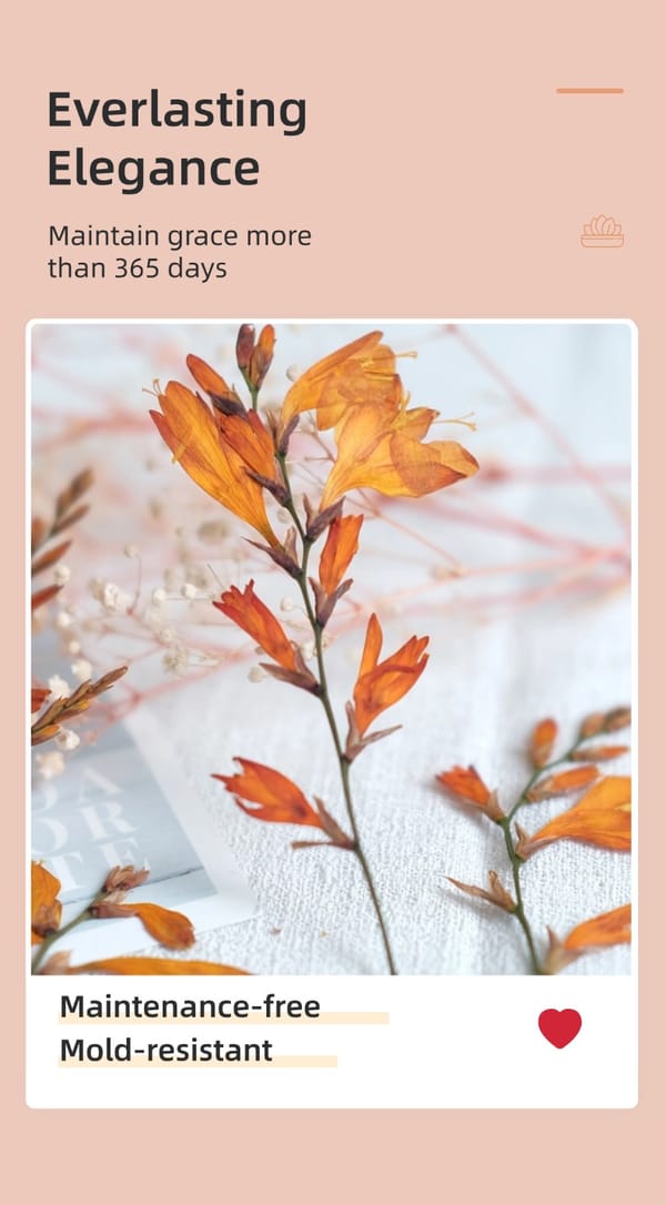 dried flower wholesale