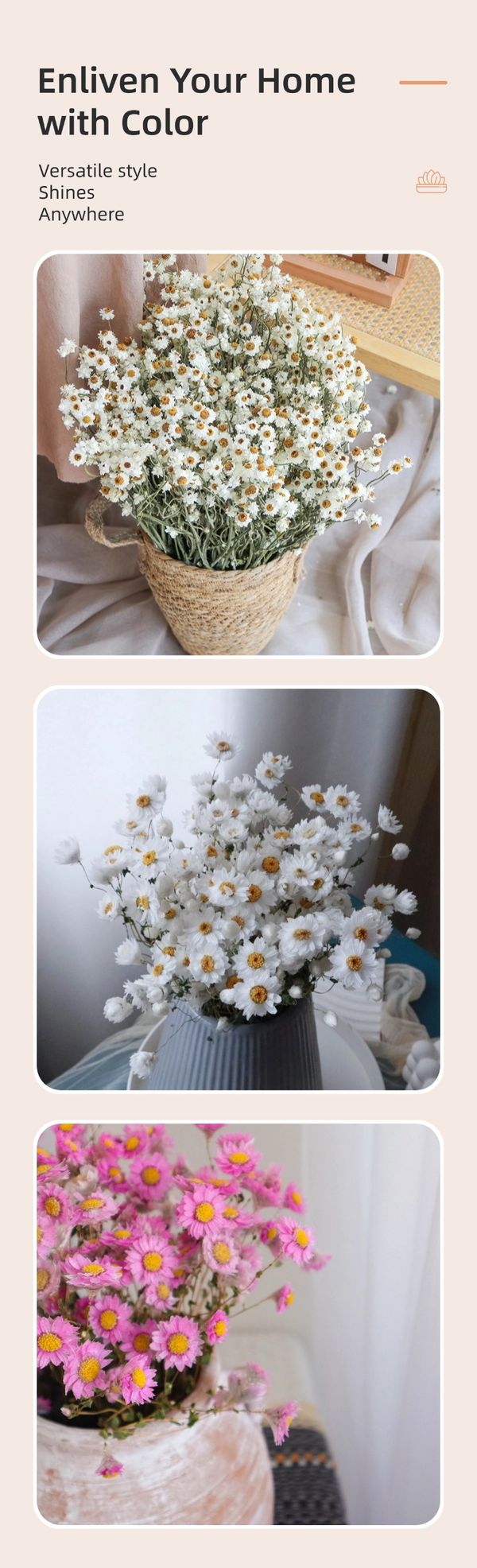 dried flowere producer