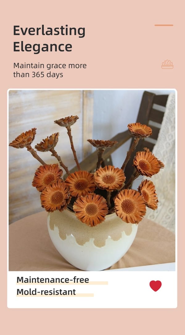 dried flower producer