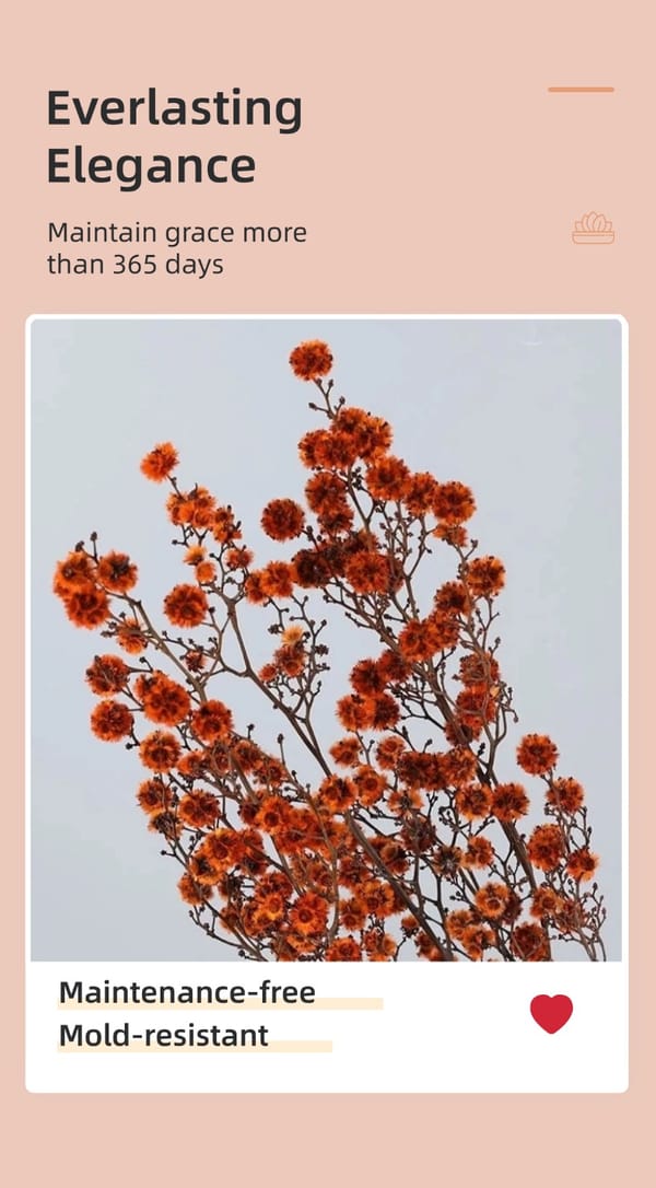 dried flower producer