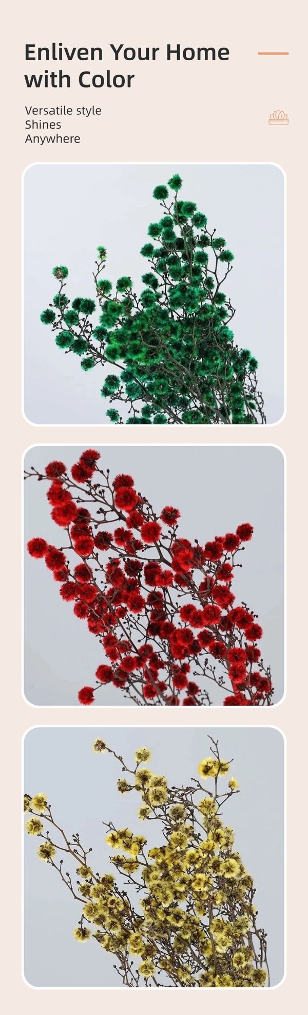 dried flower factory