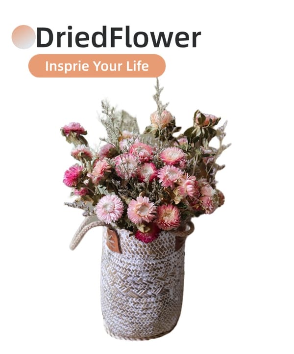 dried flower supplier