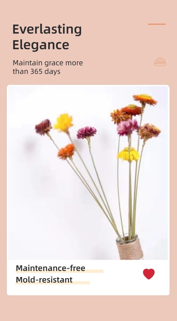 dried flower wholesale
